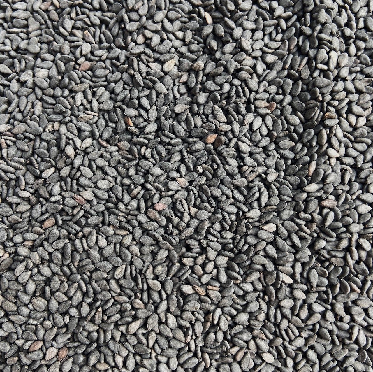 Sesame Seeds Black