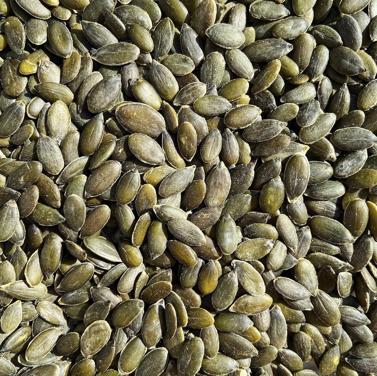 Pumpkin Seeds
