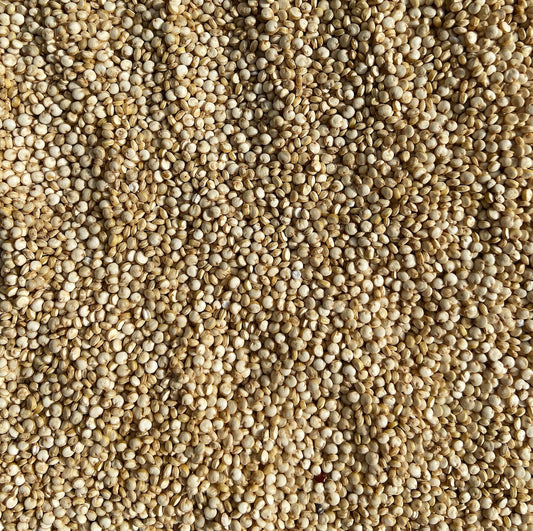 Quinoa White