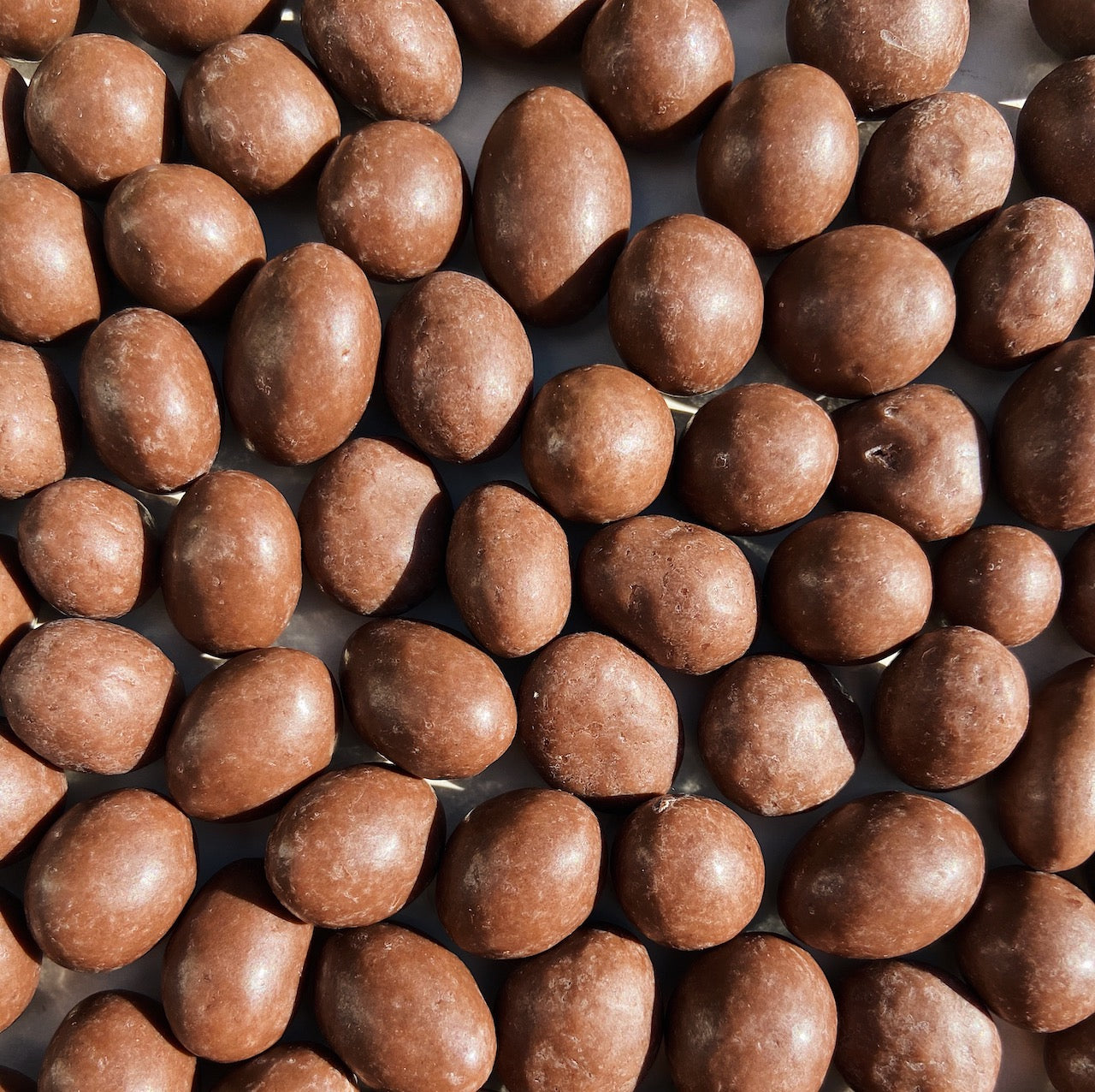 Raisins Chocolate