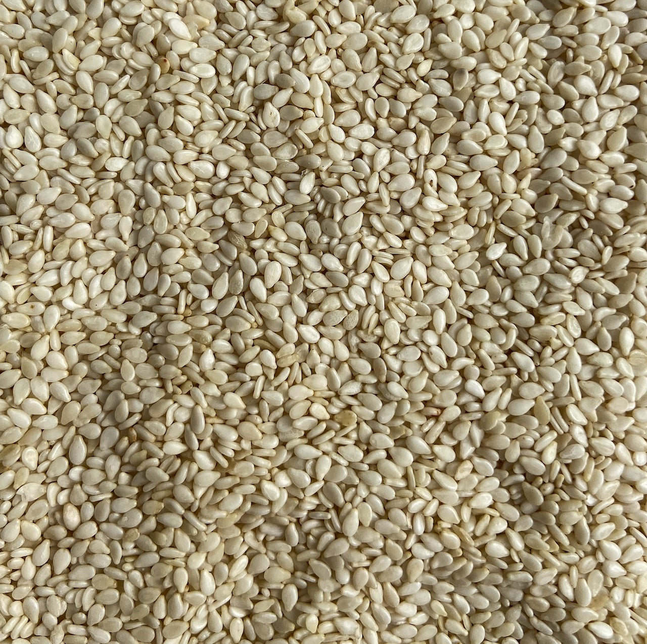 Sesame Seeds White