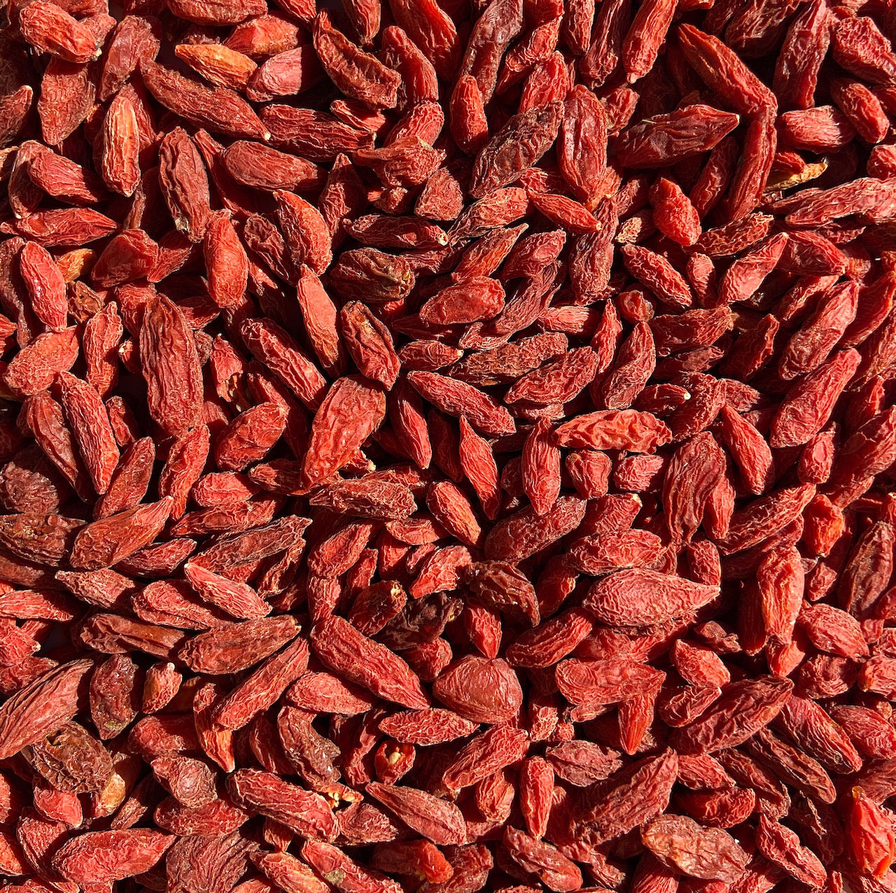 Goji Berry