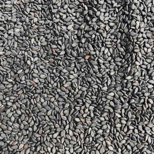 Sesame Seeds Black